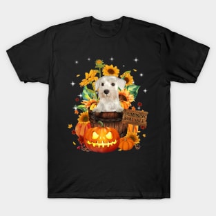 White Miniature Schnauzer Halloween Pumpkin Fall Bucket T-Shirt